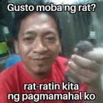 9ee24b1f3dd7a4b20997193835b47787.webp