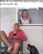 375832572_1045733623536818_8330291499173478536_n.webp