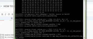 hhed.webp
