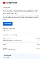 yt12.webp
