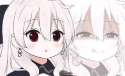 1694699273562.webp