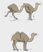 376654016_1050109469765900_2372787800553393305_n.webp