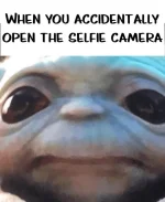 1695049999662.webp