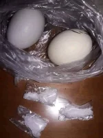 FB_IMG_1695081820385.webp