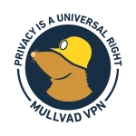 MullvadVPN_logo_Round_RGB_Color_positive.webp
