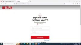 netflix.webp