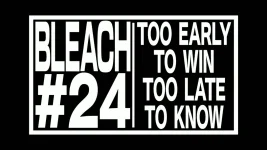 bleach-tybw-24.png