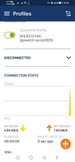 Screenshot_20231003_101241_net.openvpn.openvpn.webp