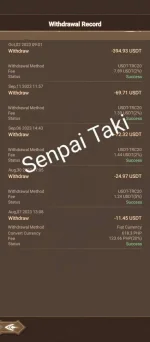 1696313355994.webp