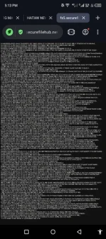 Screenshot_20231005-171324.webp Screenshot_20231005-171324.webp