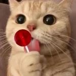 7fneoiOFWJ6fRsJwTtywpzV6B3busET2VDBdsVGewPizV5eRdG_6rvhPBY1KuQ3X6nquNg3I=s900-c-k-c0x00ffffff...webp 7fneoiOFWJ6fRsJwTtywpzV6B3busET2VDBdsVGewPizV5eRdG_6rvhPBY1KuQ3X6nquNg3I=s900-c-k-c0x00ffffff...webp
