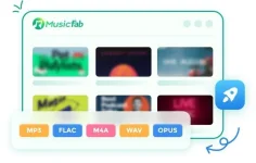 banner.webp