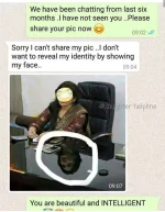 384129718_735144755292415_8903618752489697889_n.webp