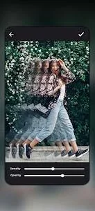 unnamed (10).webp