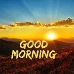 1697298037819.webp