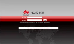 387796819_7255611854467837_2121635408719543264_n.webp