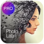 photolabb.webp