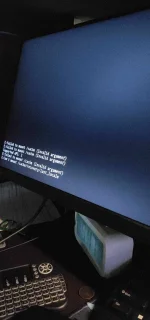 393156704_256530577388788_9114688054769145885_n.webp