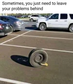 1697544950058.webp