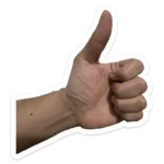 1697638256892.webp
