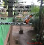 1697688520479.webp