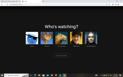 n3tflix1.webp