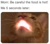 395193345_234434172975433_8788505909719518420_n.webp