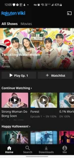 Screenshot_20231024-120503_Viki.webp