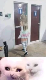 1698229726688.webp