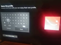 16988442857206280942356987313425.webp