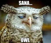 sana-owl-meme1.webp sana-owl-meme1.webp