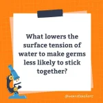 Wards-Science-Trivia-15.webp