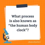 Wards-Science-Trivia-16.webp