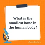 Wards-Science-Trivia-18.webp