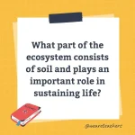 Wards-Science-Trivia-36.webp
