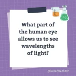 Wards-Science-Trivia-47.webp
