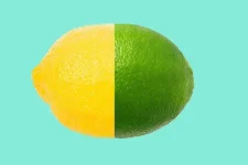 lemon-and-lime-facts.webp