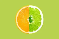 03-Incredible-Facts-About-Practically-Everything.webp