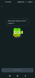 Screenshot_2023-11-05-23-03-16-000_com.duolingo.webp
