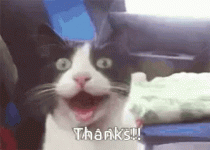 thanks-thank-you.gif