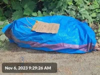 262591.jpg