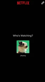 Screenshot_20231107_134305_Netflix.webp