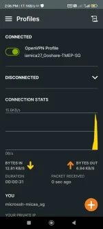 Screenshot_2023-11-08-14-06-16-973_net.openvpn.openvpn.webp