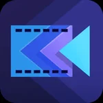 1699518182389.webp