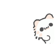 peek-cat.gif