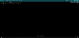 1699700289902.webp