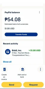 paypal ko.jpg