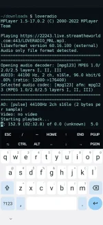 Screenshot_20231115-111534_Trebuchet.webp