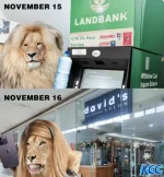 1700070440173.webp