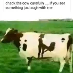 401755948_6643223002466434_8412955404715269096_n.webp